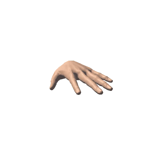 Left Female Hand_Medium